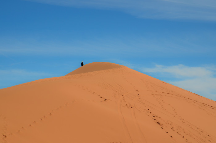 12. Coral Pink Sand Dunes State Park