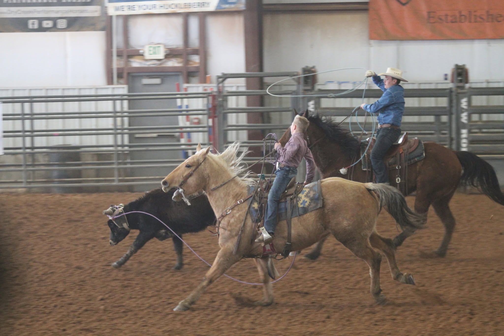 Indoor equestrian event at Contoy Arena.