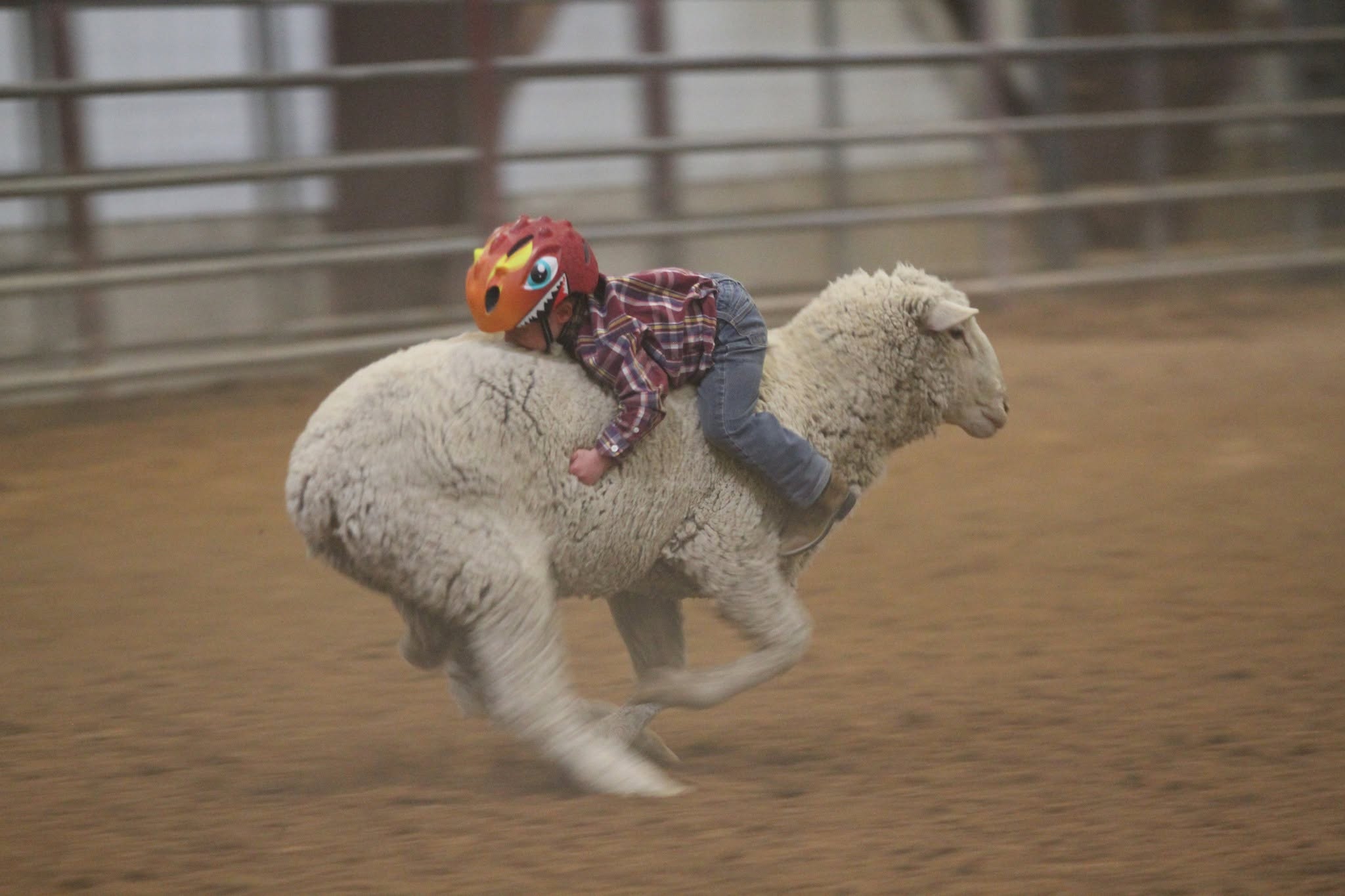 Action on the indoor arena floor.