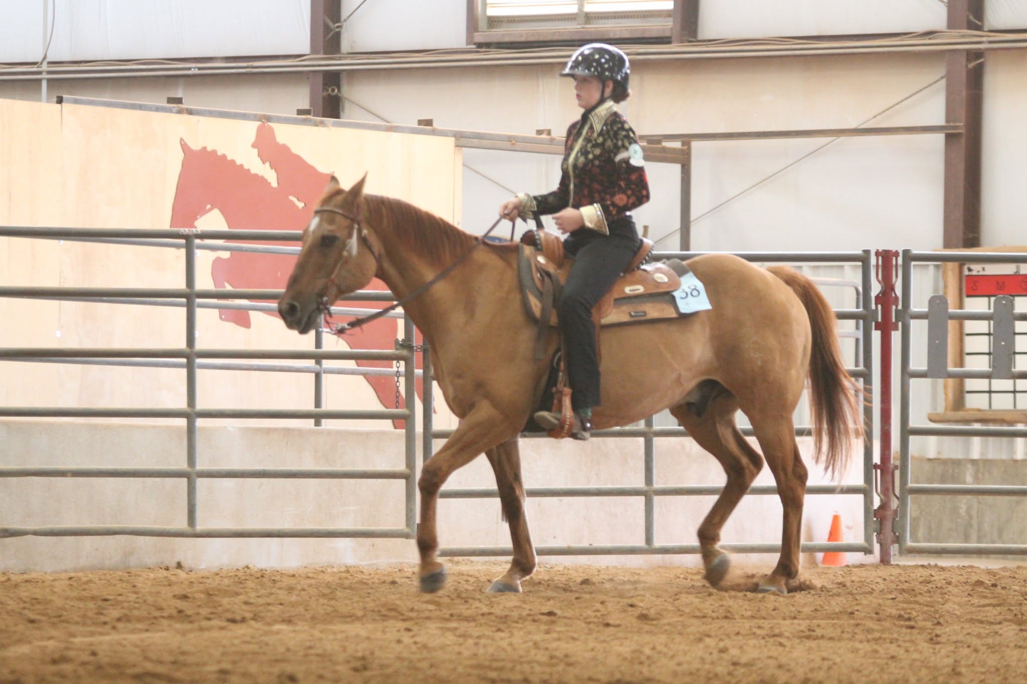 Indoor competition scene at the Cleone Peterson Eccles Equestrian Center.