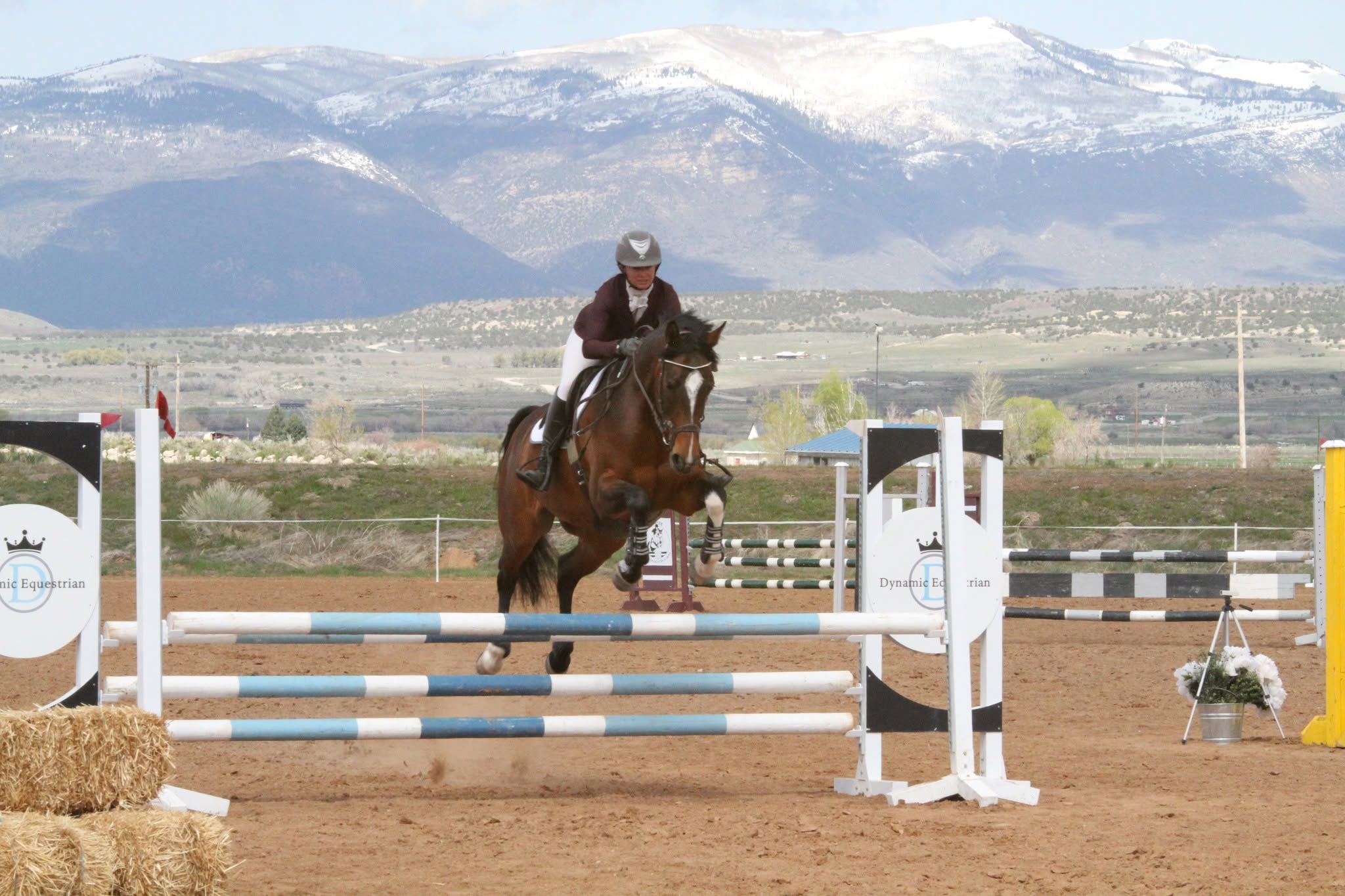 Horse and rider jumping outdoor stadium rails with snow-capped mountains in the distance.