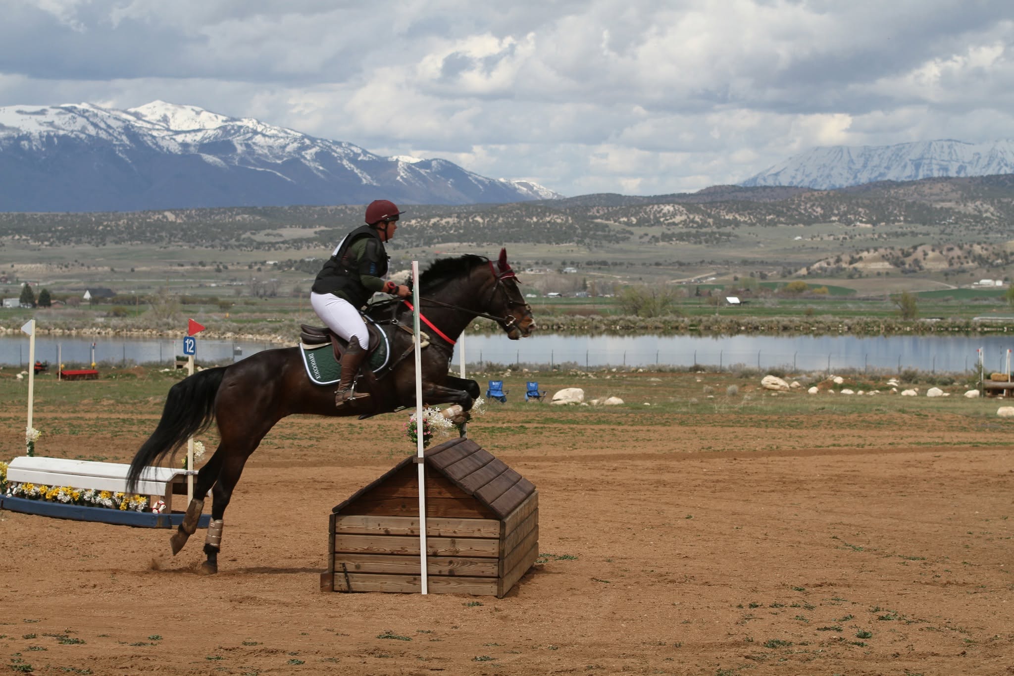 Horse clearing an outdoor jump course obstacle.