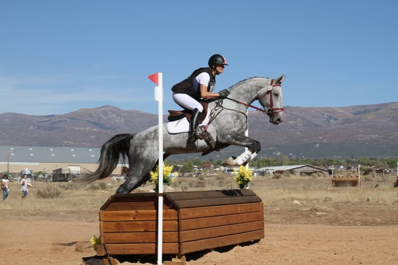 Rider and grey horse clearing an outdoor cross-country jump with mountains behind.