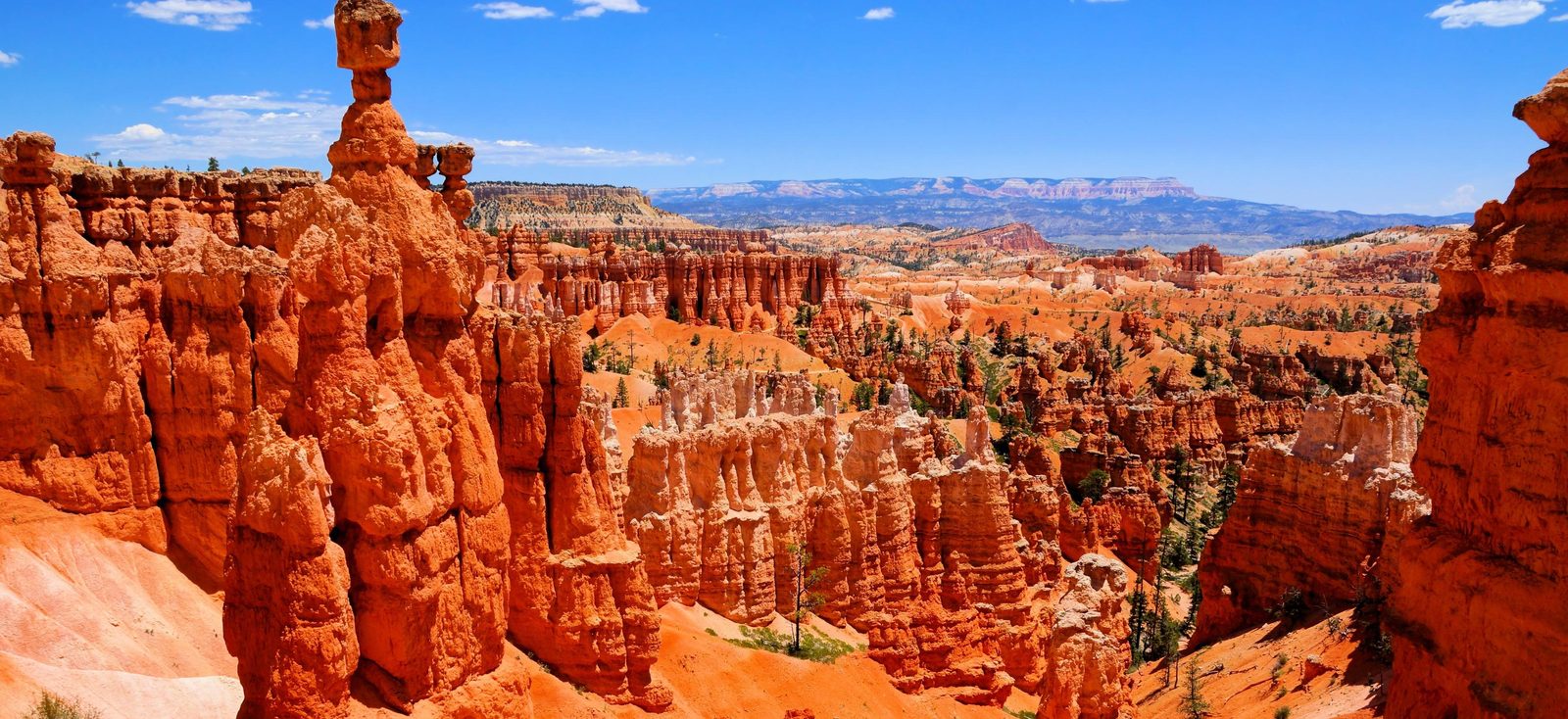 Wide view of Bryce Canyon amphitheater hoodoos