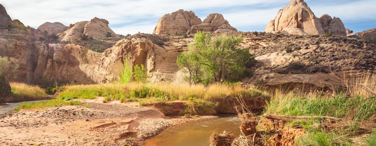 River corridor and pale cliffs in Capitol Reef National Park