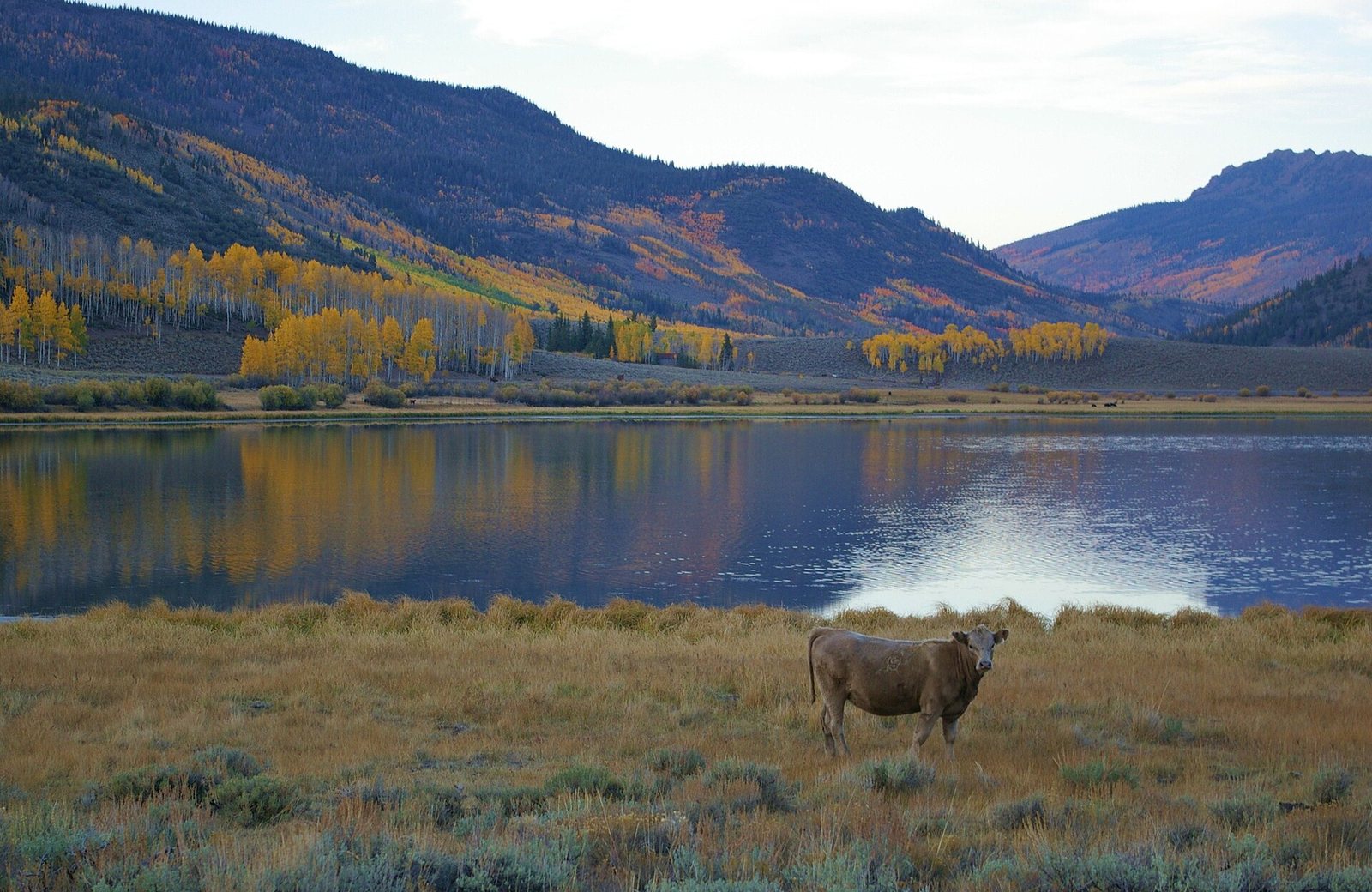 Alpine lake and aspen-covered mountains near Fish Lake, Utah