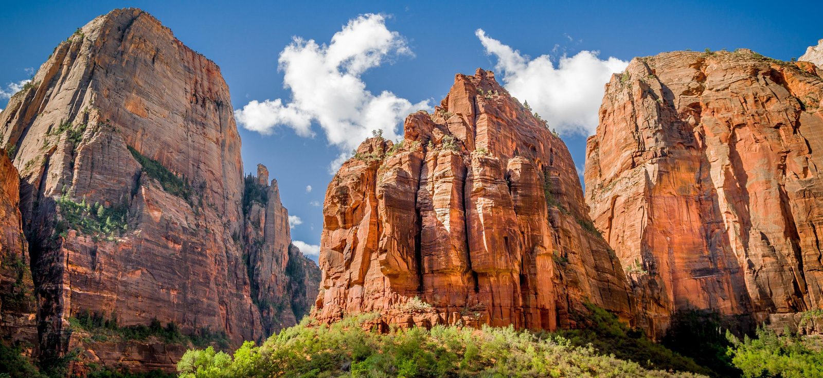 Towering sandstone cliffs and green valley floor in Zion National Park
