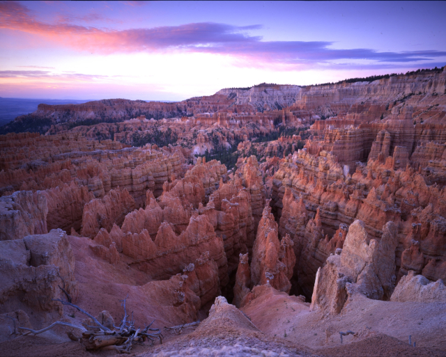 Bryce Canyon - Wall Street from Sunset Point