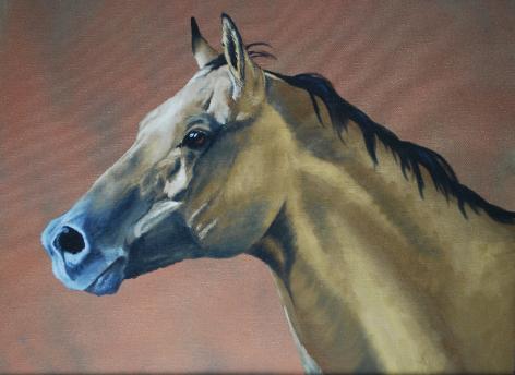 Horse in oils by Amanda Willey