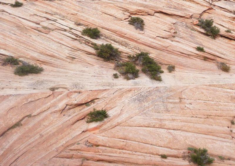 Navajo Sandstone cross bed Photo Courtesy of the National Park Service