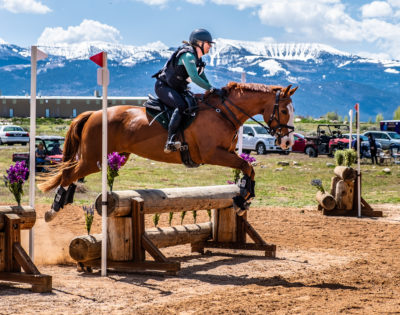 Horse jumping over jump at the ConToy Arena. Mormon Pioneer National Heritage Area