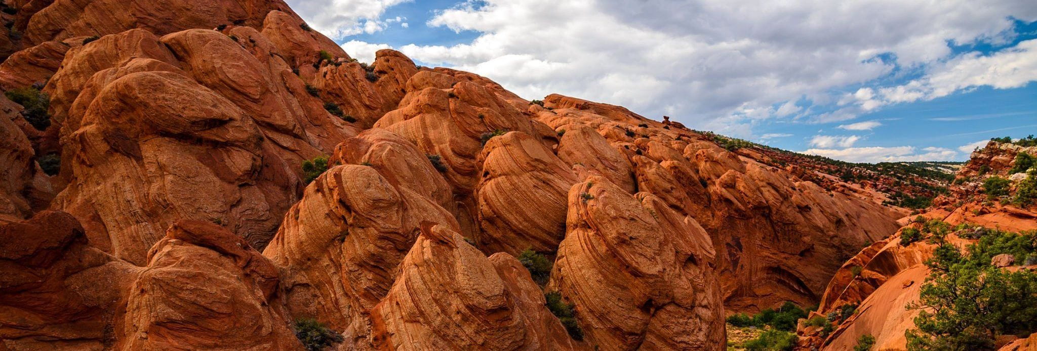 Capitol Reef National Park